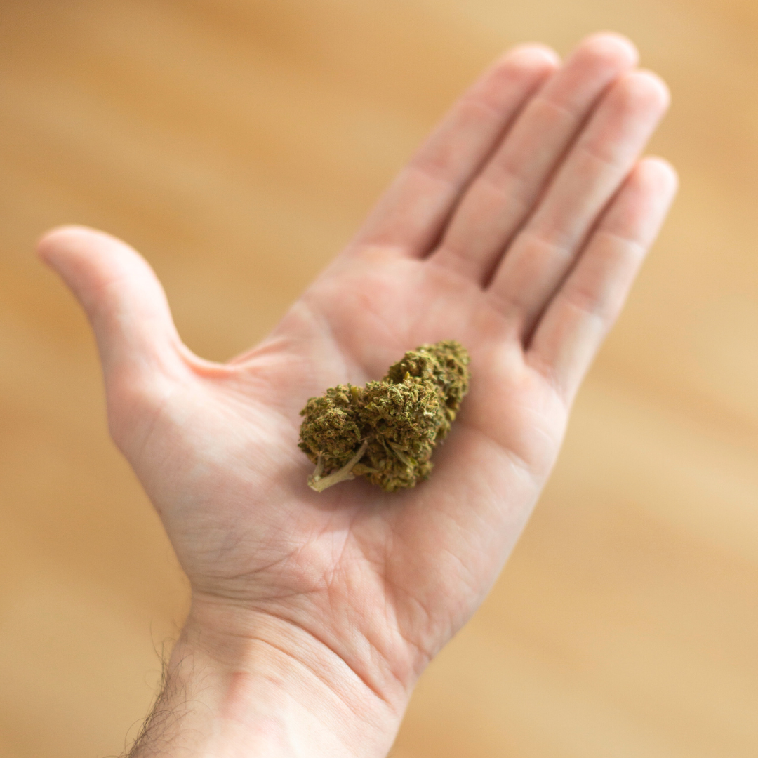 ¿Qué son las flores de CBD y para qué se usan realmente?