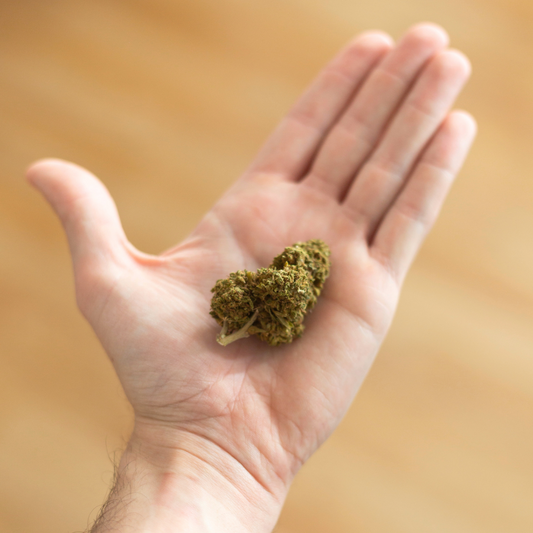 ¿Qué son las flores de CBD y para qué se usan realmente?